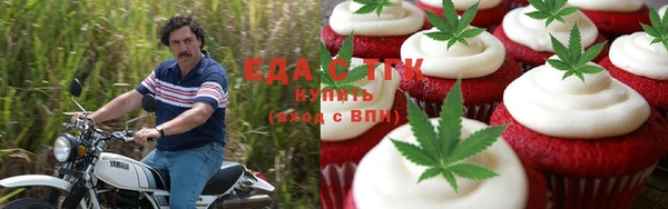 прущие грибы Магас