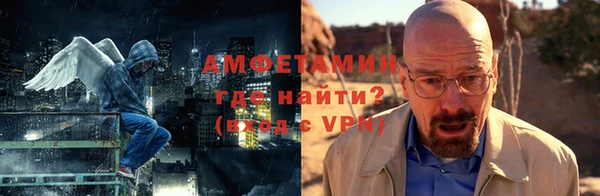 прущие грибы Магас