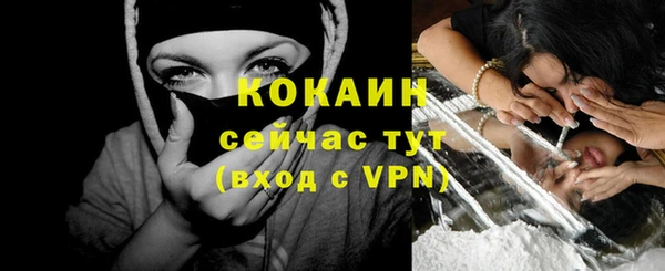 прущие грибы Магас