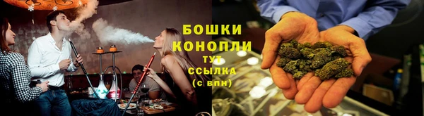 прущие грибы Магас