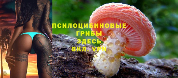 дурь Майский