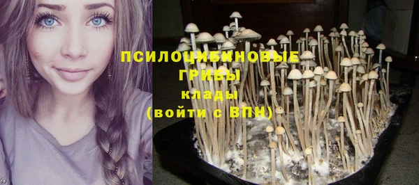 ECSTASY Магадан