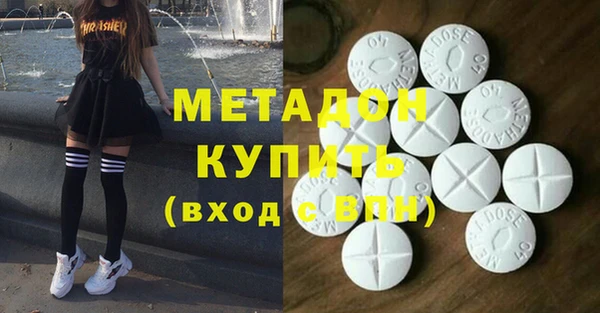 прущие грибы Магас