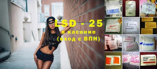 прущие грибы Магас