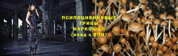 ECSTASY Магадан