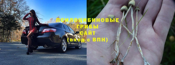 прущие грибы Магас