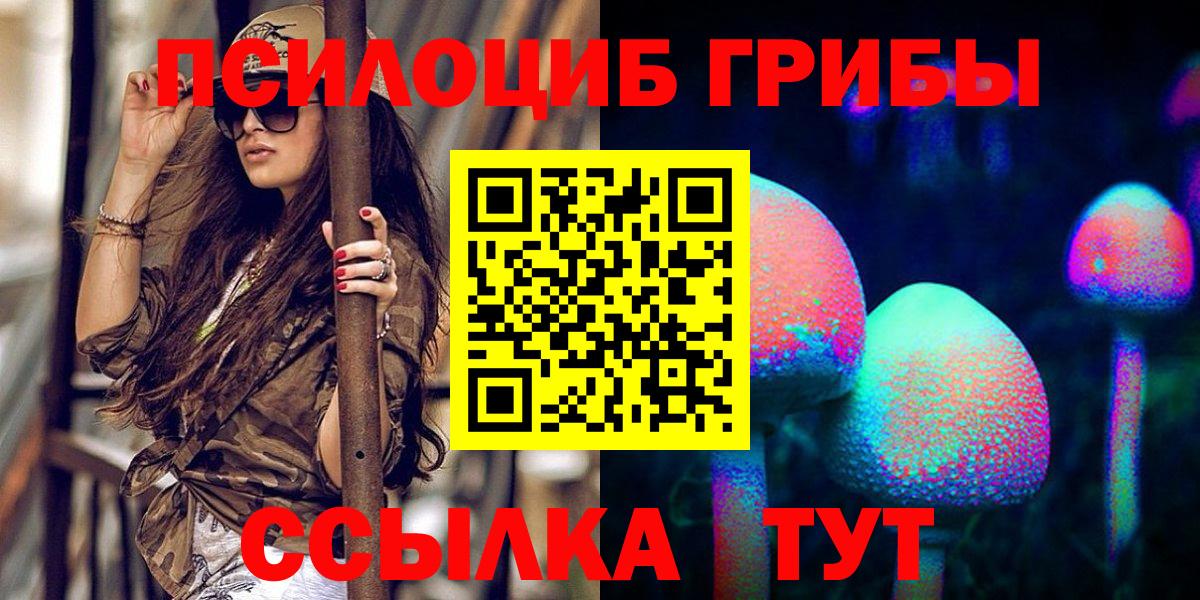 Псилоцибиновые грибы Cubensis Шали