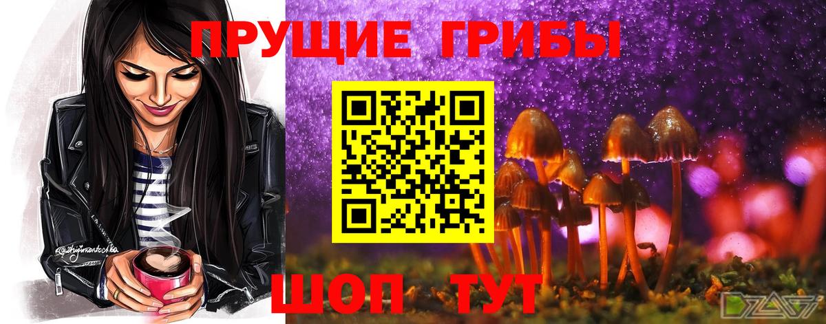 Шали  Псилоцибиновые грибы GOLDEN TEACHER  Вход с VPN  Псилоцибиновые грибы Psilocybe 